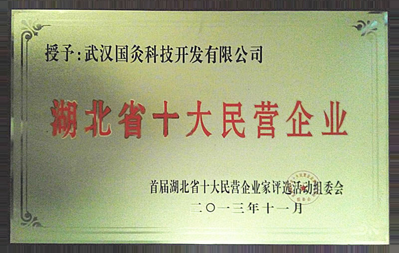 湖北省十大民营企